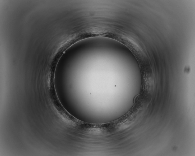 X0000098100404200804041248