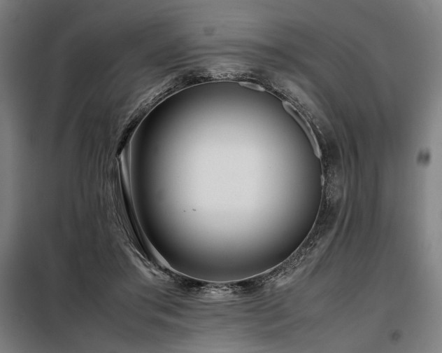 X0000098100405200804041248