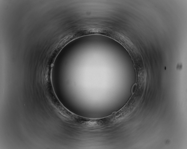 X0000098100406200804041248