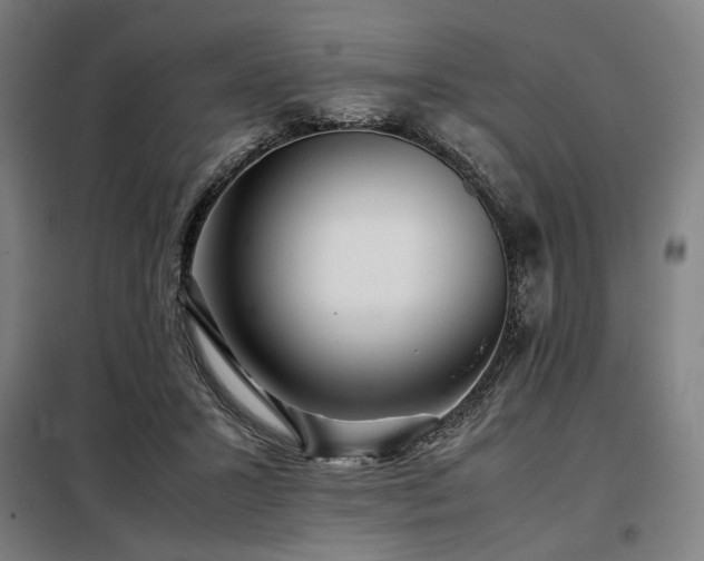X0000098100407200804041248