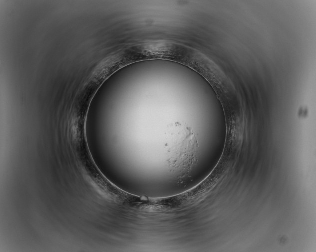 X0000098100408200804041248