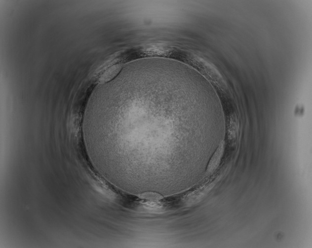 X0000098100409200804041248
