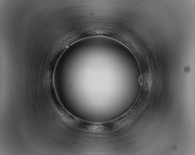 X0000098100410200804041248