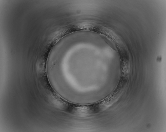 X0000098100411200804041248