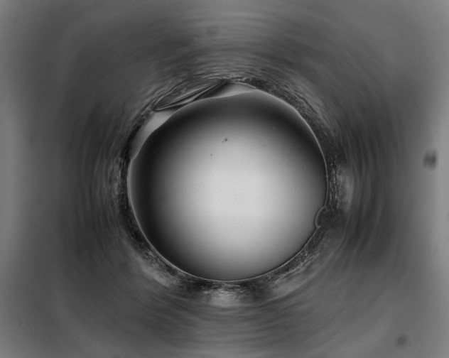 X0000098100412200804041248