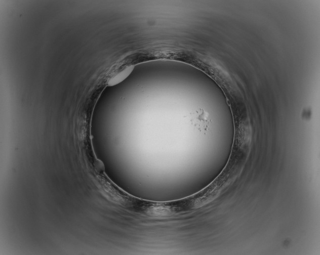 X0000098100413200804041248