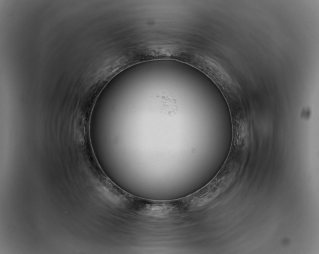 X0000098100414200804041248