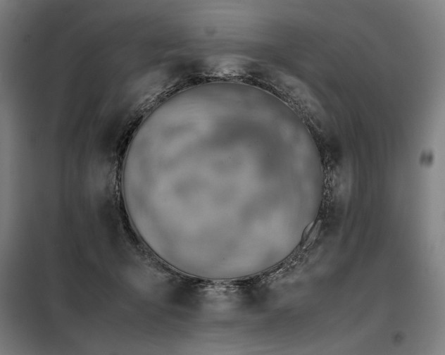 X0000098100415200804041248