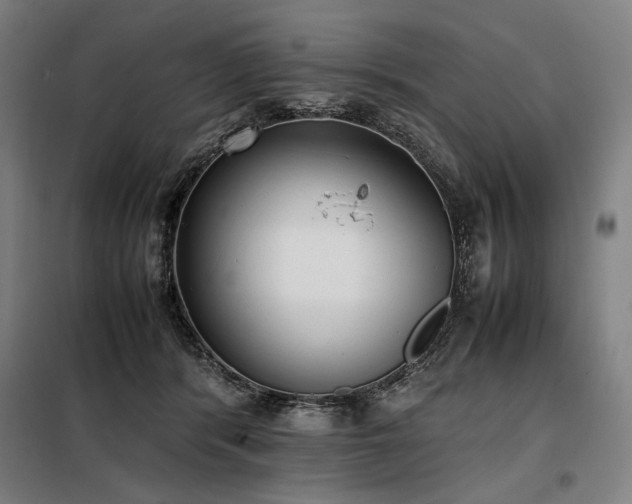 X0000098100416200804041248