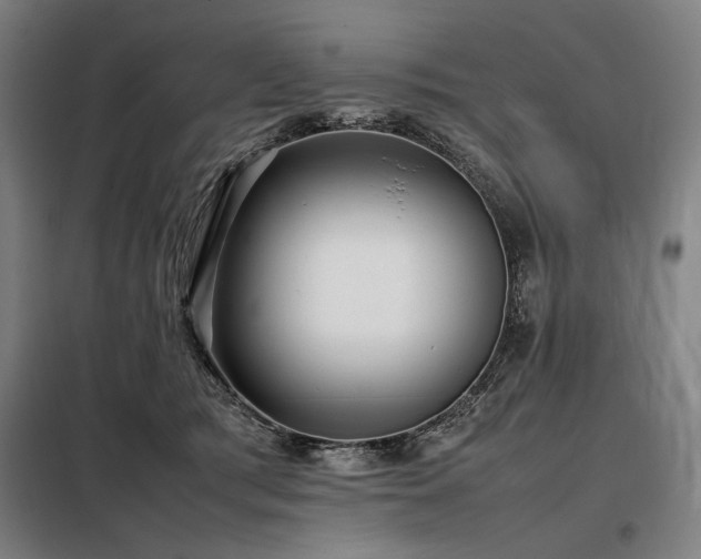 X0000098100417200804041248