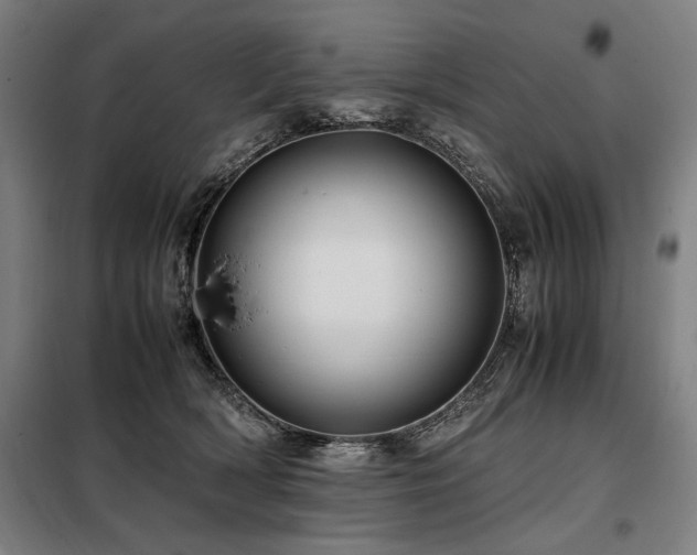 X0000098100418200804041248