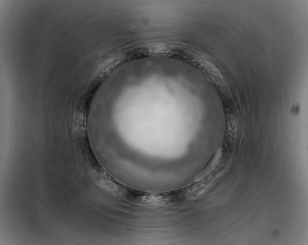X0000098100419200804041248