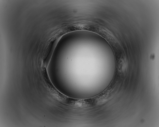 X0000098100420200804041248