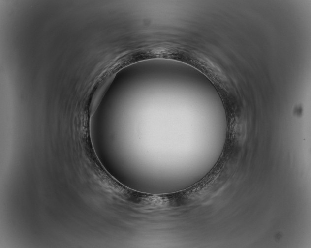 X0000098100421200804041248