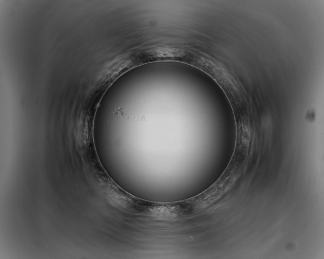 X0000098100422200804041248