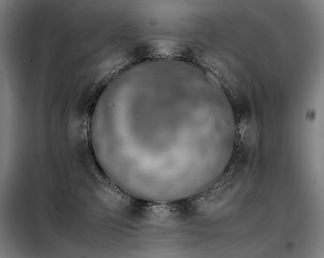 X0000098100423200804041248