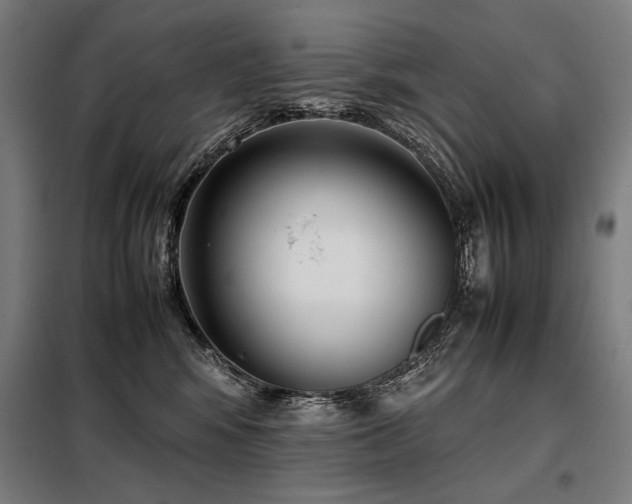 X0000098100424200804041248