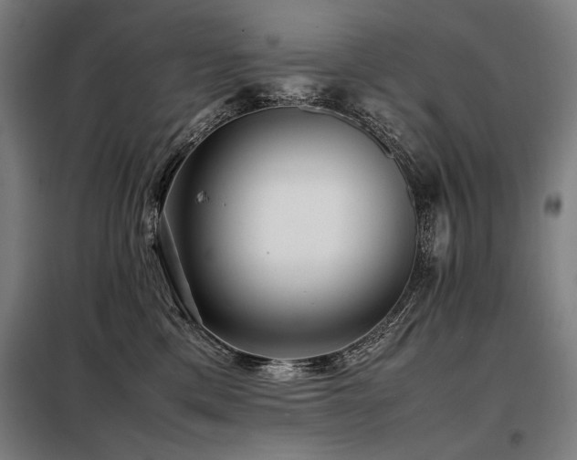 X0000098100425200804041248