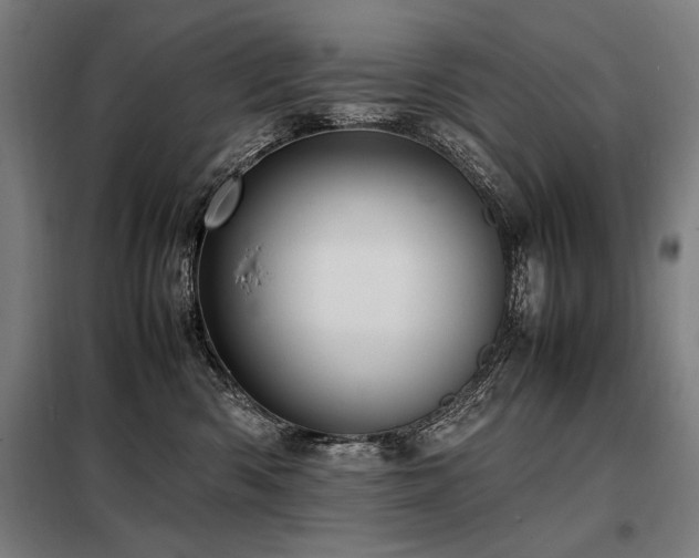 X0000098100426200804041248