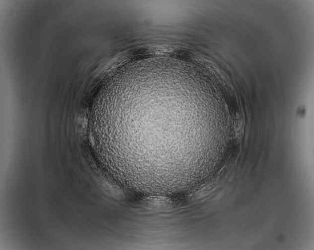 X0000098100427200804041248