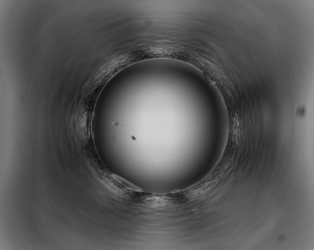 X0000098100428200804041248