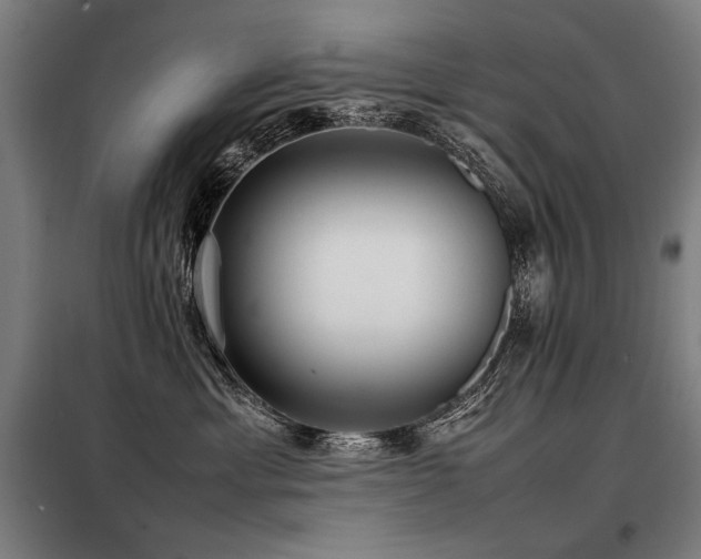X0000098100429200804041248