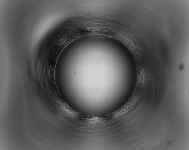 X0000098100430200804041248