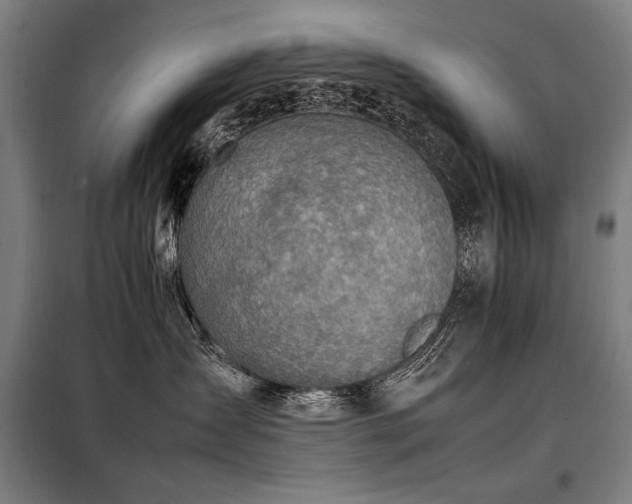 X0000098100431200804041248