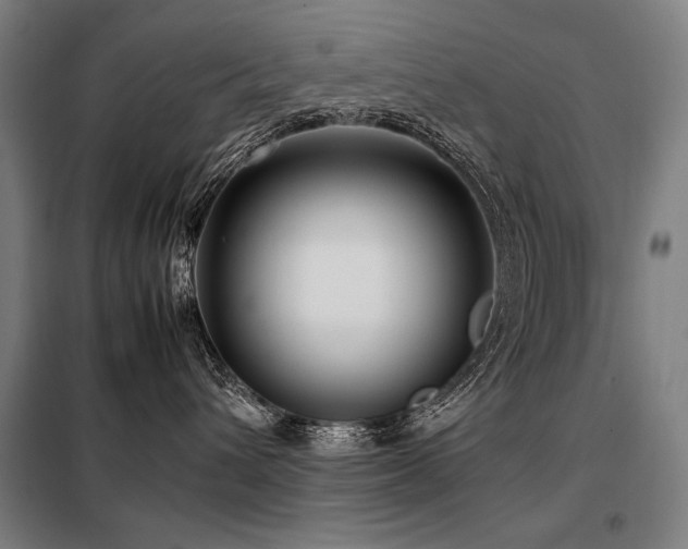 X0000098100432200804041248