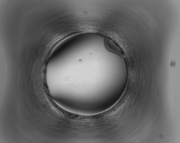 X0000098100433200804041247