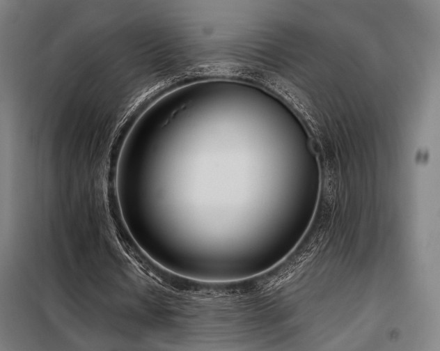 X0000098100434200804041247