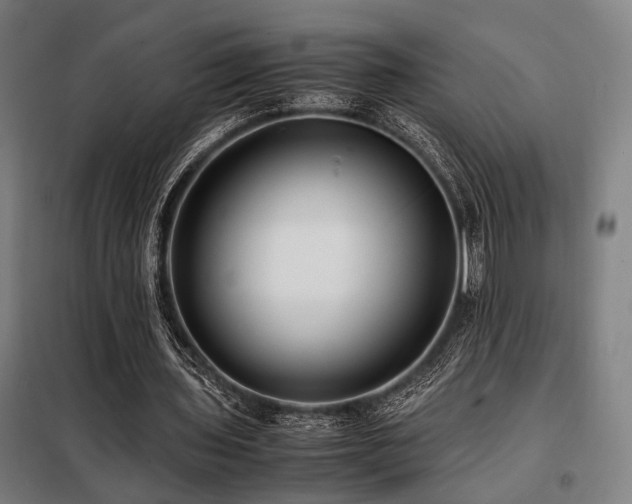 X0000098100435200804041247