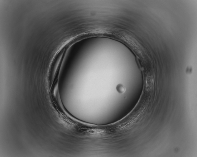 X0000098100436200804041247