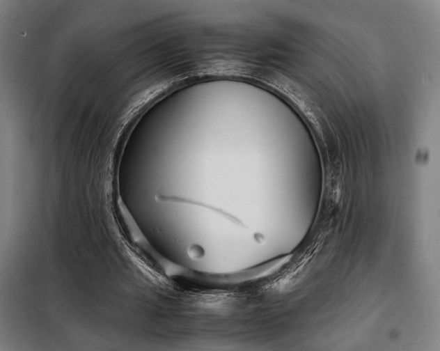 X0000098100437200804041247