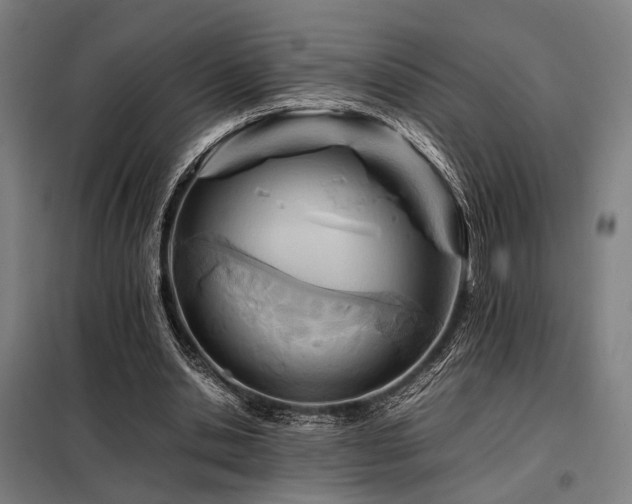 X0000098100438200804041247