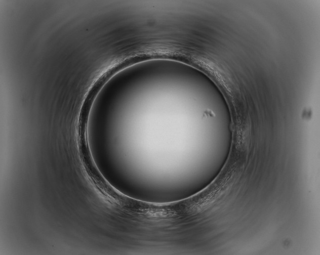 X0000098100439200804041247