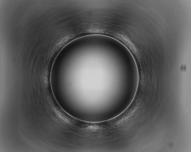 X0000098100441200804041247