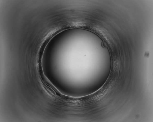 X0000098100443200804041247