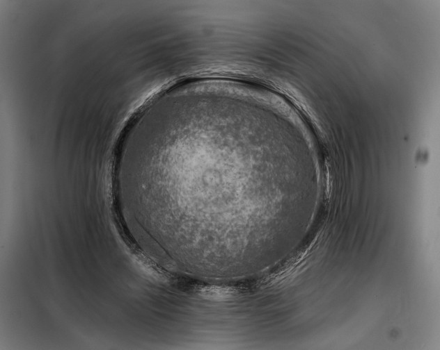 X0000098100444200804041247