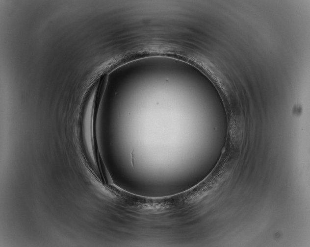 X0000098100445200804041247
