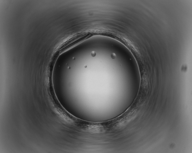 X0000098100446200804041247