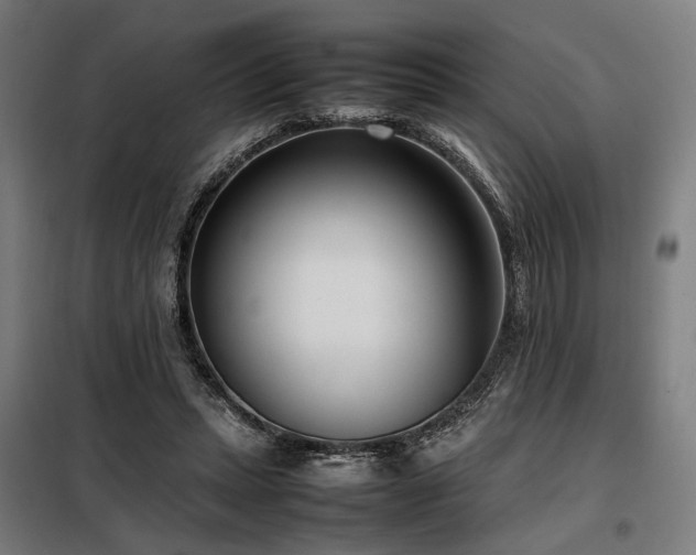 X0000098100447200804041247