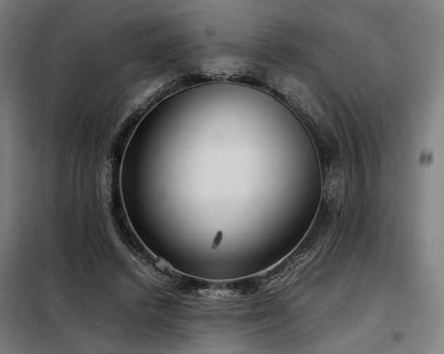 X0000098100448200804041247