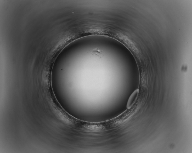 X0000098100449200804041247