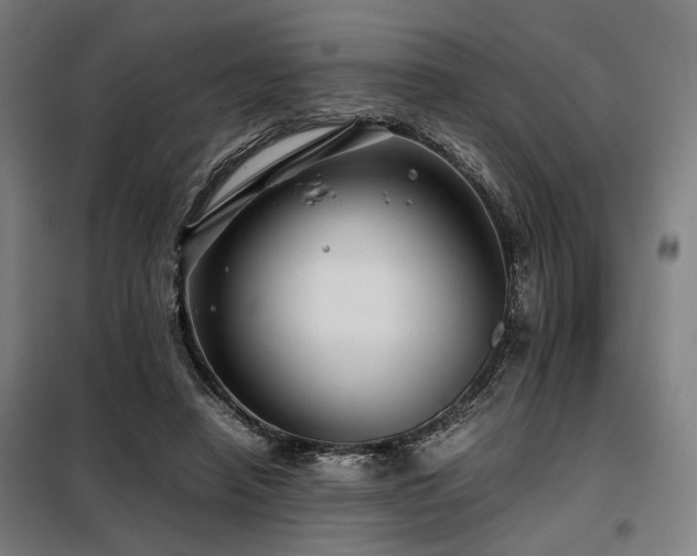 X0000098100450200804041247