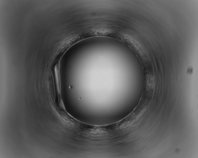 X0000098100451200804041248