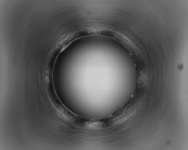 X0000098100452200804041248