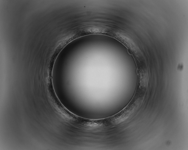 X0000098100453200804041248