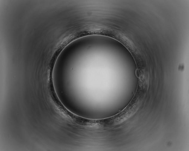 X0000098100454200804041248