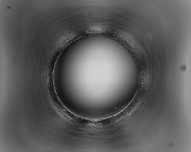 X0000098100455200804041248